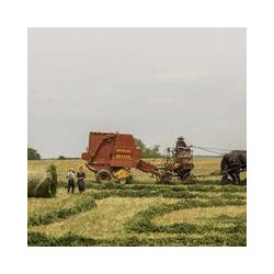 Seagate Barracuda 4TB