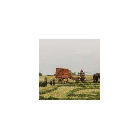 Seagate Barracuda 4TB