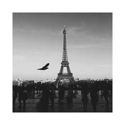 Kingston NV2 1TB SSD