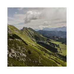 Google Nest WiFi Router