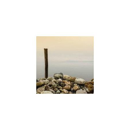 Logitech G Pro X Superlight