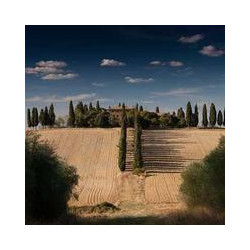 HP LaserJet Pro M404