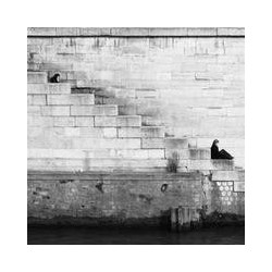 Dell UltraSharp 27 4K