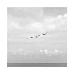 Samsung Galaxy Tab S9