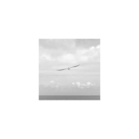 Samsung Galaxy Tab S9