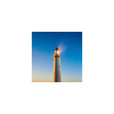 Xiaomi Mi Smart Band 8