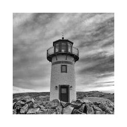 Logitech C920 Webcam