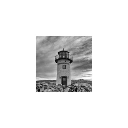 Logitech C920 Webcam