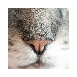 Apple MacBook Pro M3