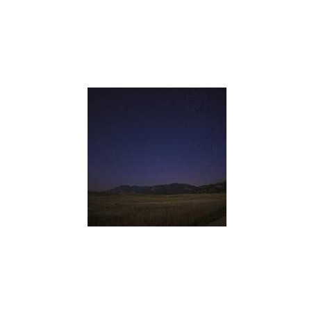 TP-Link Switch 16 Ports